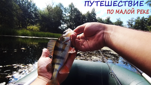 РАЗВЕДКА НОВЫХ МЕСТ Сплавом по МАЛОЙ РЕКЕ! СТРАННЫЕ Звуки из ЛЕСА! РЫБАЛКА На СПИННИНГ в Сентябре!