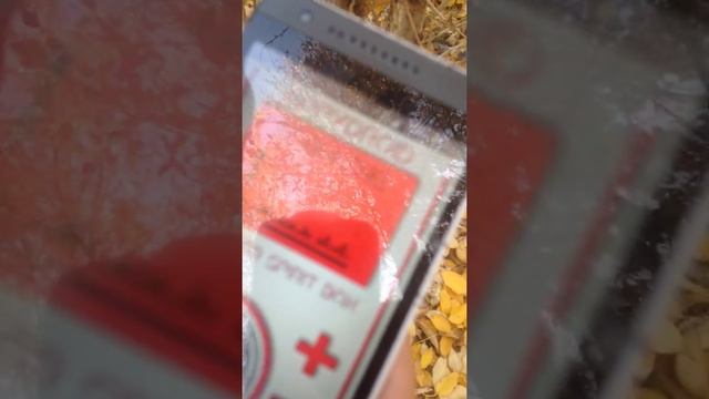 SPIRIT BOX!!!, ТЕСТ.....! смотреть онлайн