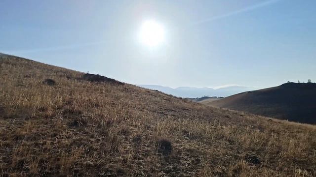 Алтай, кемпинг Муркут