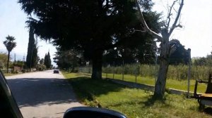 Цитрусовый совхоз - Алахадзы. Авто маршрут. Абхазия