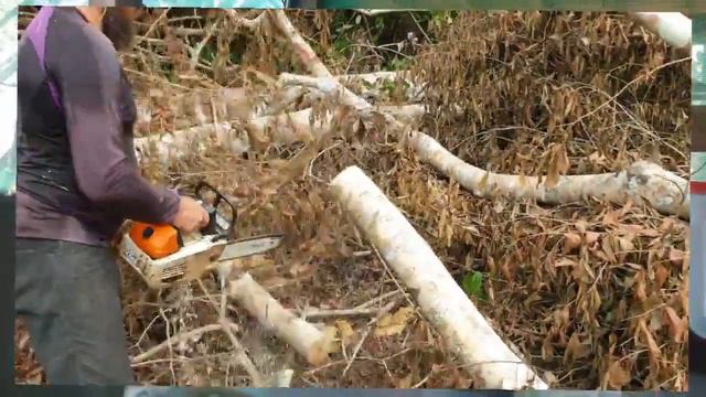 слушайте! важные темы! поднимаем в поселении после служения смотреть онлайн