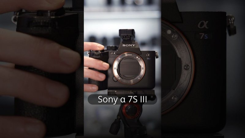 Какая камера звучит лучше? Sony a7IV/Sony a7sIII/Sony a7rIII/Sony a7rIV #sony #sonyalpha #фотограф