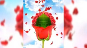 кори амирхамза нашиди точики