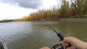 Рыбалка в Сузуне ,Малышево .С сыном рыбачим на джиг .2020 год