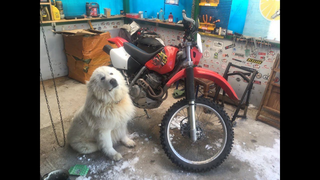 Покупка Honda XR250 смотреть онлайн