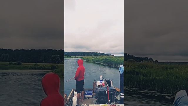 р. Сороть село Михайловское. Пушкинские Горы. смотреть онлайн