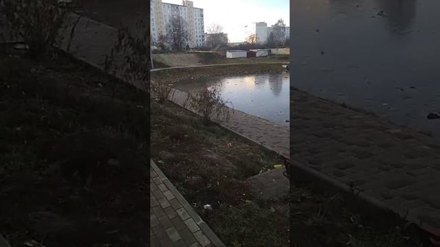 Беспредел личная беседка на ДЕТСКОЙ ПЛОЩАДКЕ многоэтажки!!! смотреть онлайн