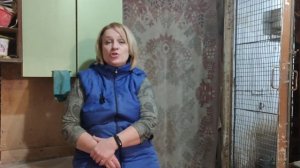 СОДА для кур. Суть и механизм действия.