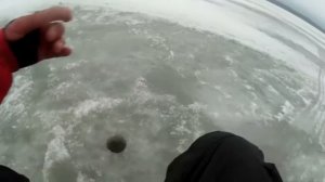 Окунь на Блесну  Финский Залив часть2. Perch lure Gulf of Finland