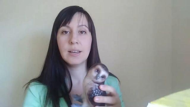 Как научить ребенка говорить простую фразу // Логопедические игры // Развитие речи