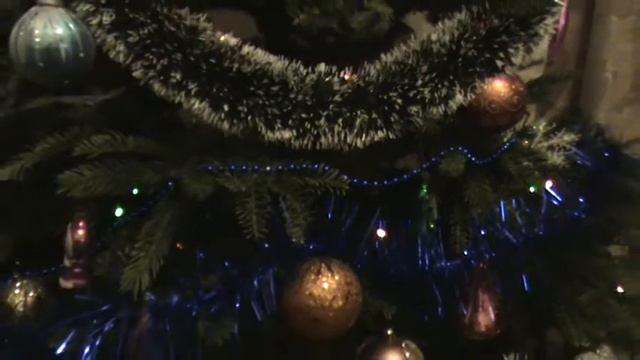 Попугай и новый год. смотреть онлайн