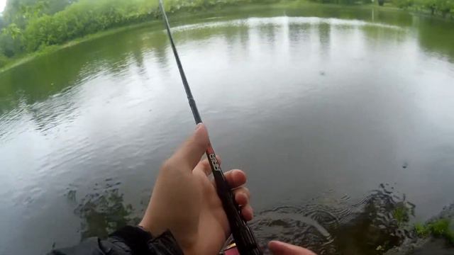 Турнир с наказанием.Ловля окуня.Выпил сырое яйцо смотреть онлайн