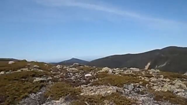 The Bonds смотреть онлайн