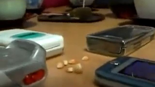 Как приготовить попкорн с помощью мобильников Лучшее видео YouTube смотреть онлайн