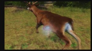 Cabela's Outdoor Adventures (2009) - Stage 1: Kansas