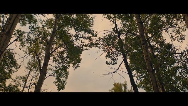 5 ФАНТАСТИЧНИХ фільмів екшн 2022 смотреть онлайн