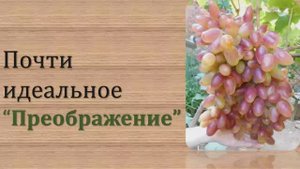 Преображение виноград.