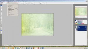 Сканирование негативной плёнки с помощью сканера 2448TA Plus