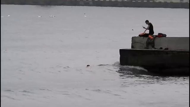 Крым.ФЕОДОСИЯ Как РОССИЯ меняет города.Набережная БИТКОМ.Дача СТАМБОЛИ.Поезда РА-3 под мостом. смотреть онлайн