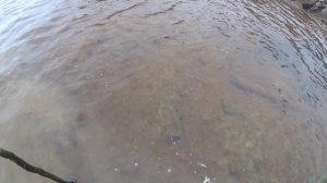 АРКТИКА! Рыбалка в Карелии на Белом море| Ставлю сетки на рыбную тропу в Арктической зоне