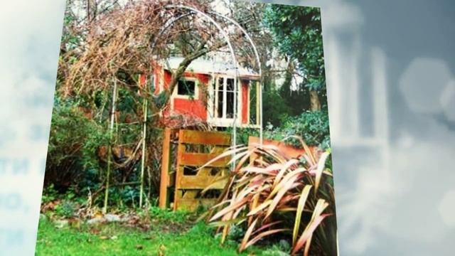 Садовый пруд. Несколько советов по уходу за прудом смотреть онлайн