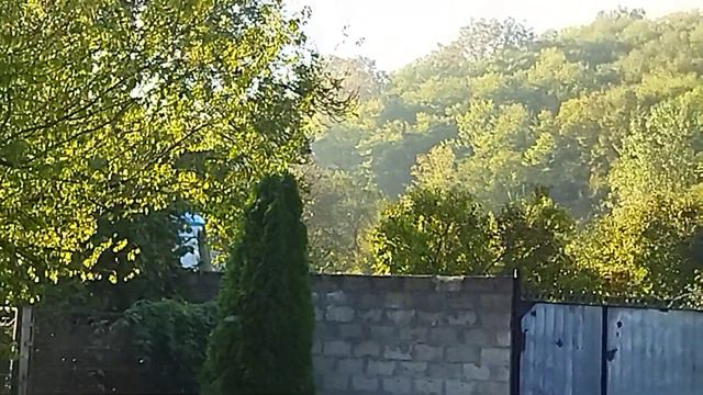 Доброе раннее утро, Любимые смотреть онлайн