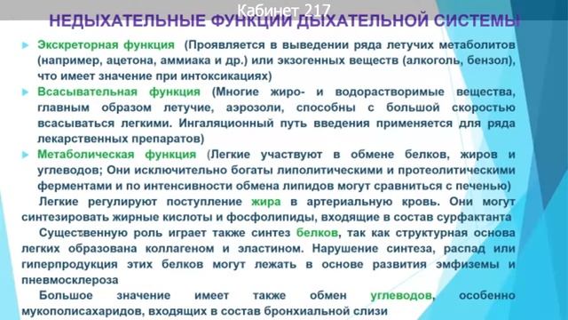 Анатомо-физиологические особенности строения дыхательной системы. Явная И К смотреть онлайн