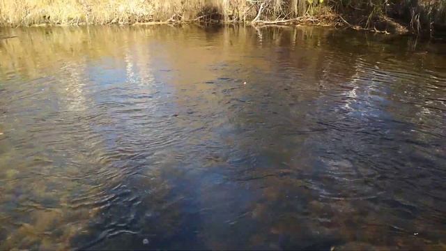 Реки Бурятии. Попали на бешеный осенний клёв хариуса. Конец Сентября. смотреть онлайн