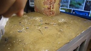 Диорама "День-М" 15 часть (Ландшафт, забор). Как сделать землю для диорамы.