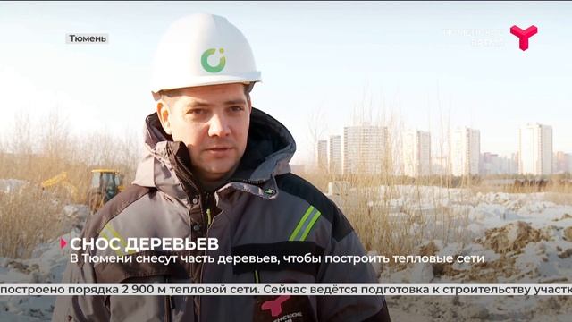 Снос деревьев | Тюмень смотреть онлайн