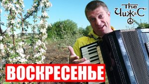 Чиж и К - Воскресенье на аккордеоне (аккордеон кавер)