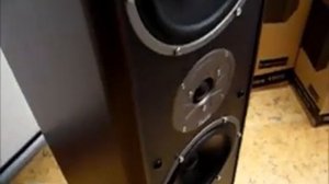 Magnat Monitor Supreme 1000 акустика