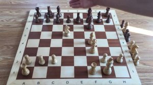 Открытый гамбит Муцио - Полерио. Шахматы. Королевский гамбит