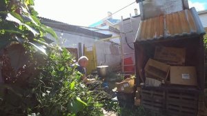 Забой уток