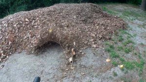 Воздуходувка Stihl BGA 56.  Первый тест и впечатление.