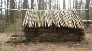 Таёжная избушка. Новый этап строительства (Часть 6).