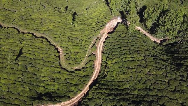 Relax Music For Sleep / Regeneration / Nature Video / Watersheds,Mountains,Sea / 2021 смотреть онлайн