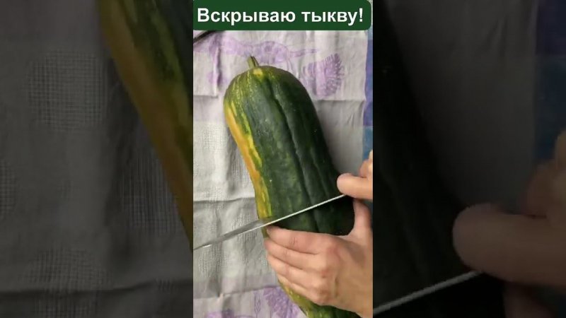 Сорт прикубанская мускатная! Так, что же мне приготовить ???#shorts #тыква #овощи #food #еда