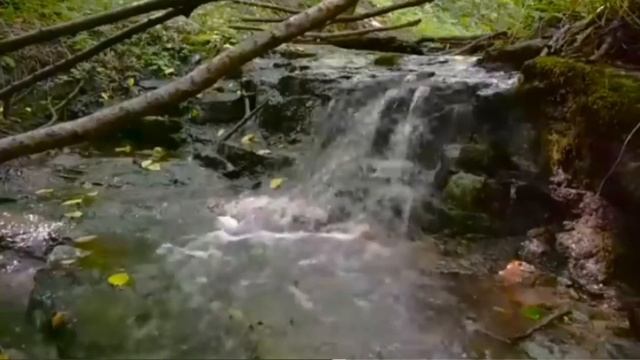 МАТРИЦА П.П. ГАРЯЕВА ИСЦЕЛЕНИЕ КОСТЕЙ И МЫШЦ (instruction in English in the description) смотреть онлайн