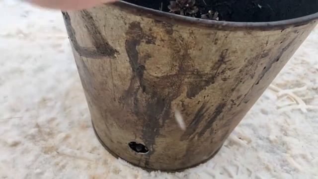 Копчу рыбу, строю парник. смотреть онлайн