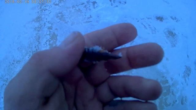 КРАЙ ЗЕМЛИ! КОЙДА! ЭКСПЕДИЦИЯ на БЕЛОЕ МОРЕ! РЫБАЛКА на КОРЕХА! РЫБАЛКА В ТУНДРЕ! ч.3 смотреть онлайн