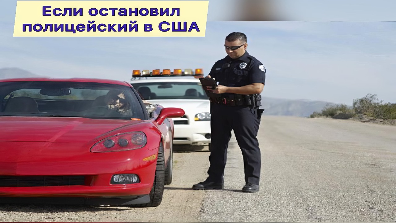 Аньку дальнобойщицу на трассе полиция обыскала. Обыскали весь салон, трейлер даже холодильник.