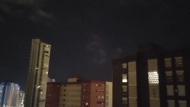 Лай собаки в картонных домах #собачьяжизнь
