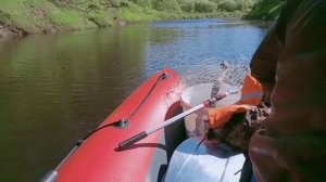 Шок,Чудо рыба,река Сясь.