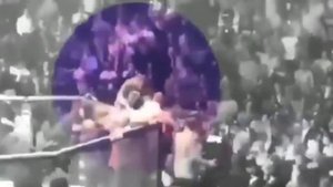 ПОДРОБНЫЙ РАЗБОР ДРАКИ ПОСЛЕ БОЯ ХАБИБА И КОНОРА! КТО ВИНОВАТ?