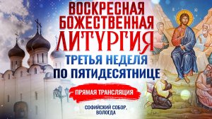 БОЖЕСТВЕННАЯ ЛИТУРГИЯ. ТРЕТЬЯ НЕДЕЛЯ ПО ПЯТИДЕСЯТНИЦЕ