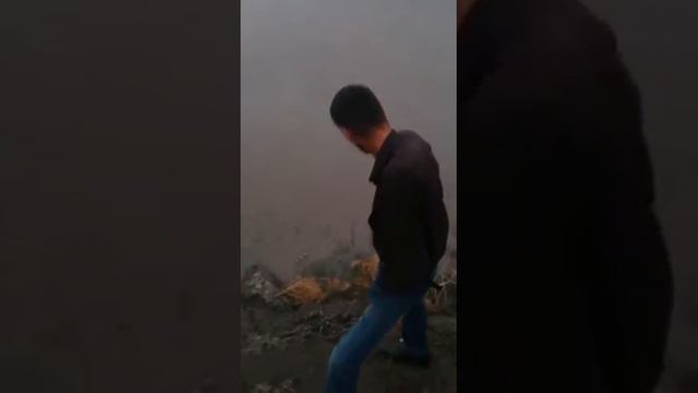 мырт ЕМИН Дадашбейли (1hиссе)