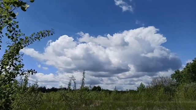 12 июня народный праздник День Исаакия. Змеиный праздник . Народные приметы и традиции. Запреты дня