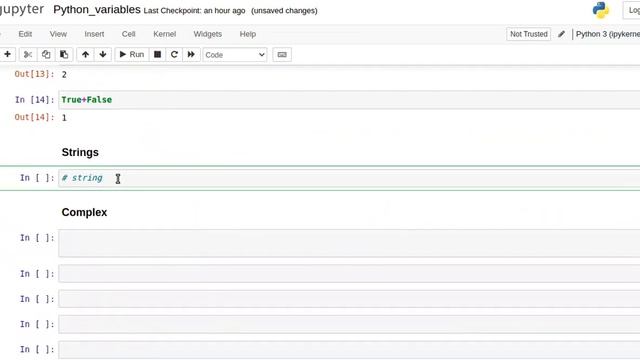 How python internally understands the data types of a python variable? | Python Guide | Data Scienc
