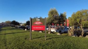 Как я приехал в Калифорнию И из меня выпили всю кровь! Остались ли нервы